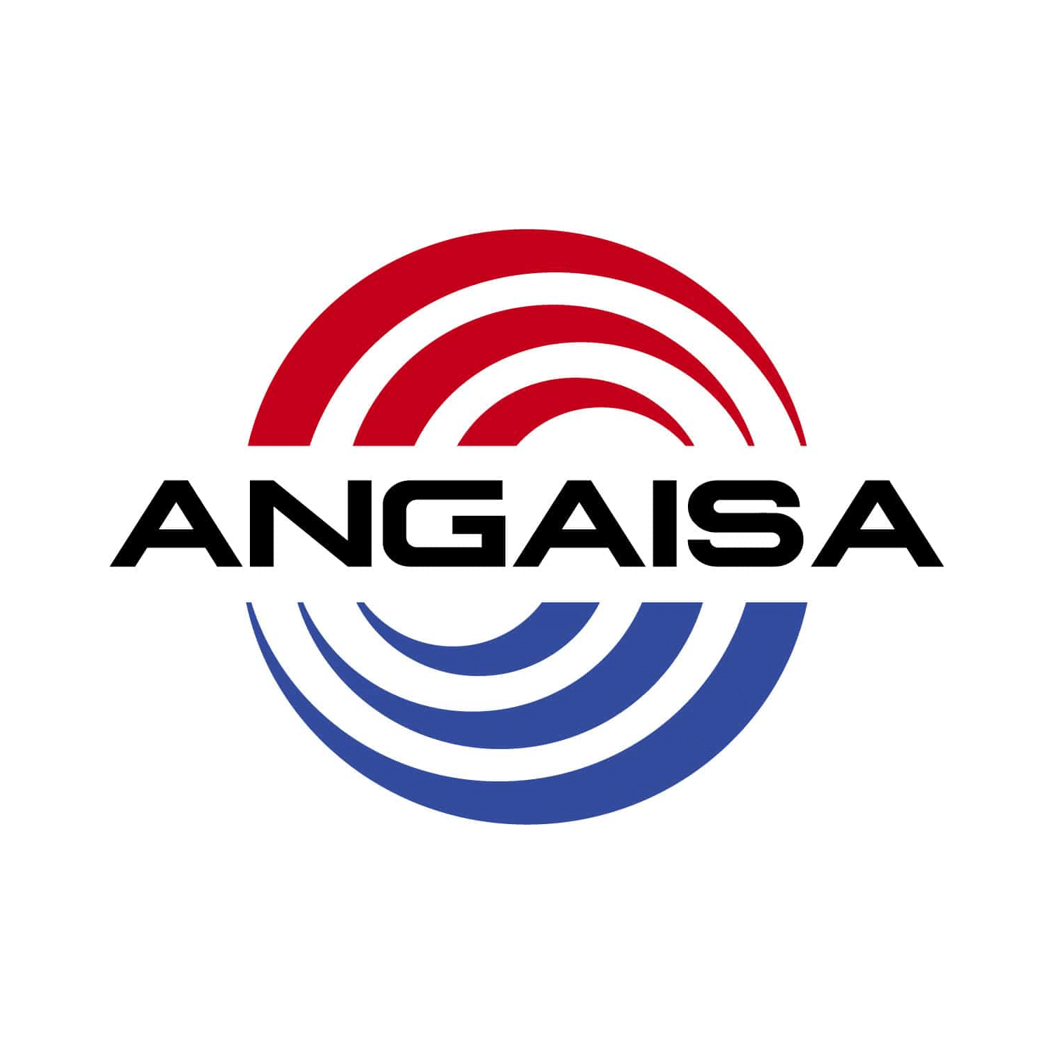 Servizi ANGAISA S.r.l. Angaisa